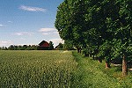 Insel Oknön im Mälaren